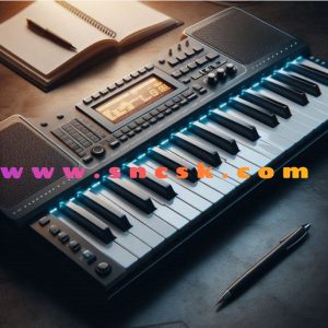 Alesis Recital Pro